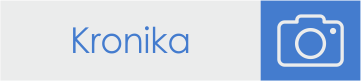 ZDZ buton www kronika